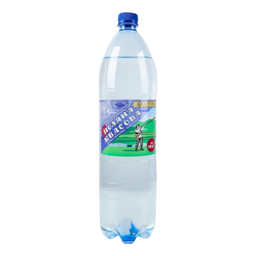 Polyana Kvasova 1.5 L